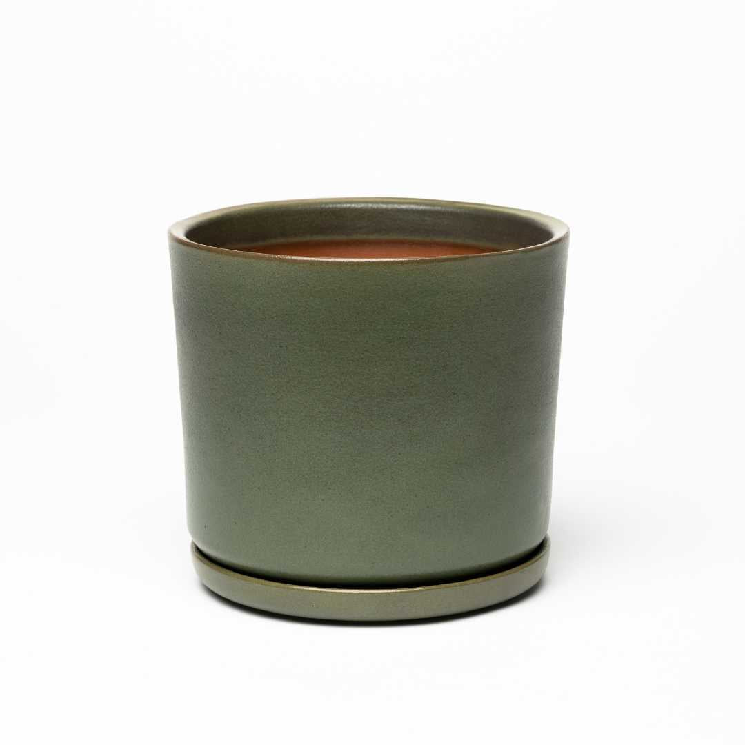 Plant pot with saucer M · Moss