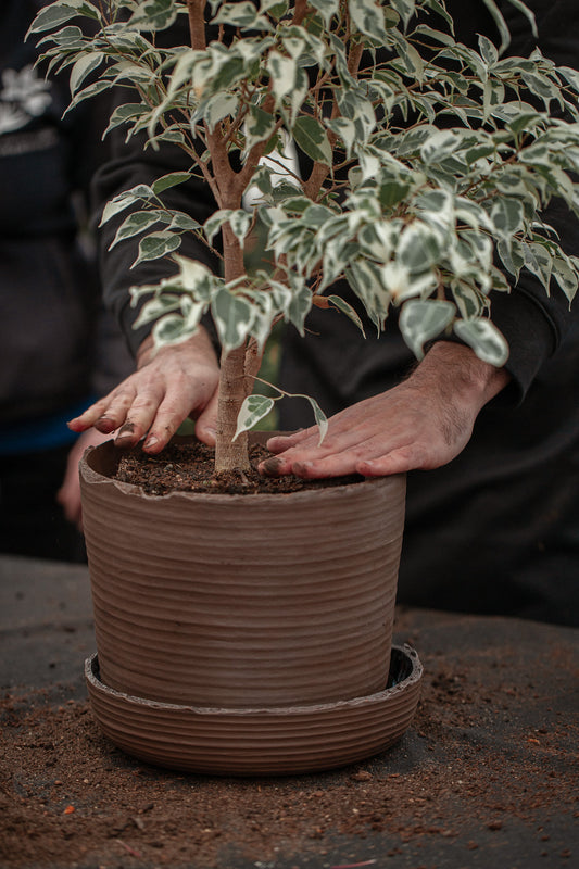 Plant pot with saucer XL · SOIL
