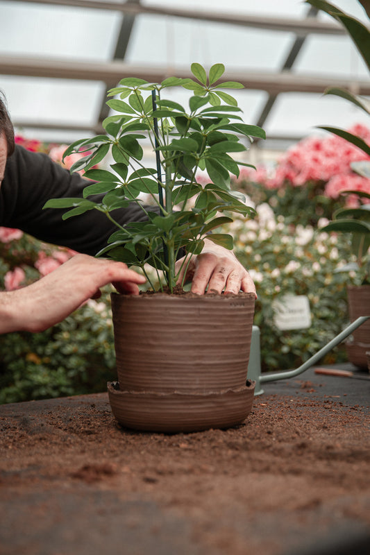 Plant pot with saucer M · SOIL