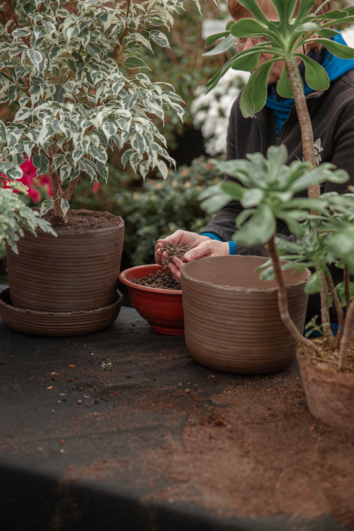 Plant pot with saucer L · SOIL