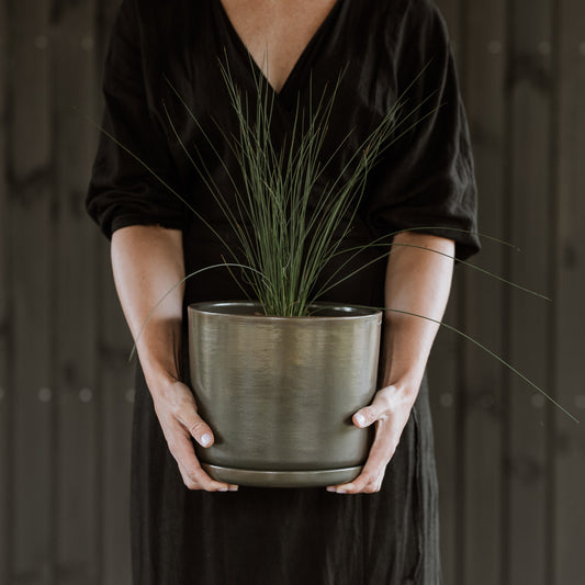 Plant pot with saucer XL · Moss
